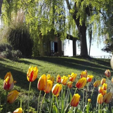 Agriturismo Quartopodere Villa Magliano in Toscana Exteriör bild