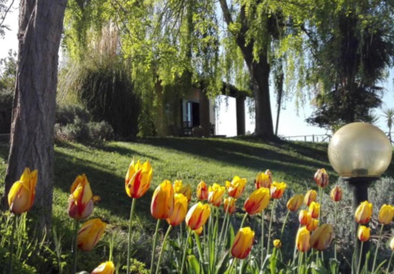 Agriturismo Quartopodere Villa Magliano in Toscana Exteriör bild