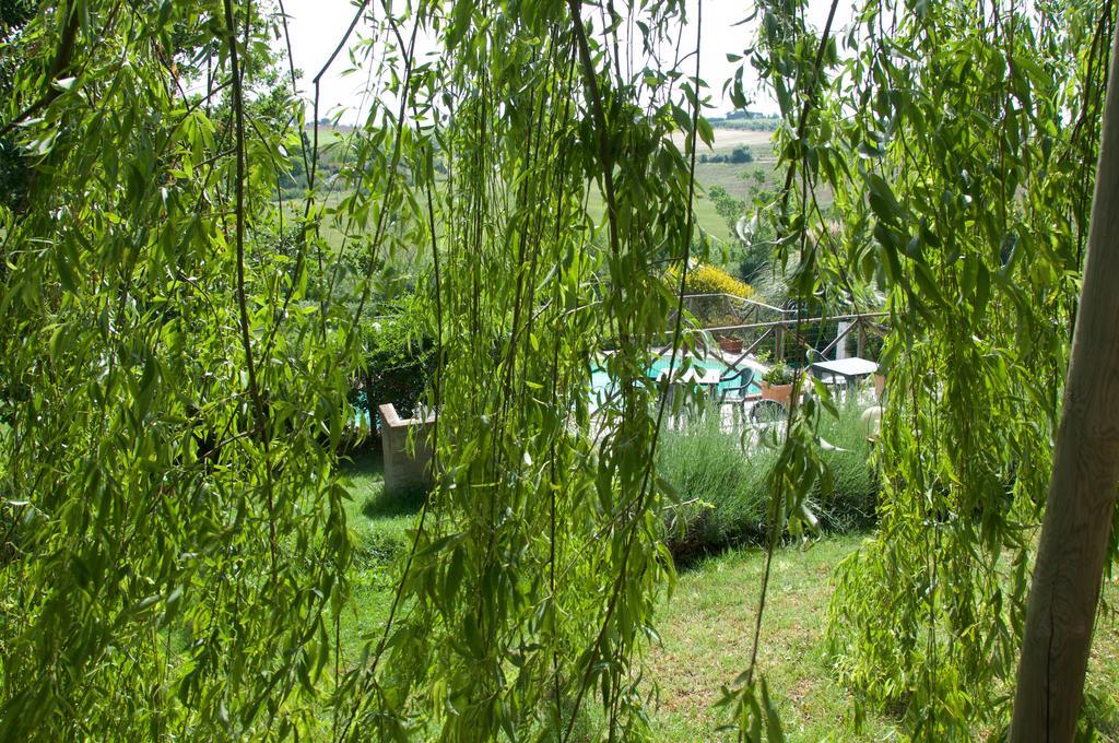 Agriturismo Quartopodere Villa Magliano in Toscana Exteriör bild