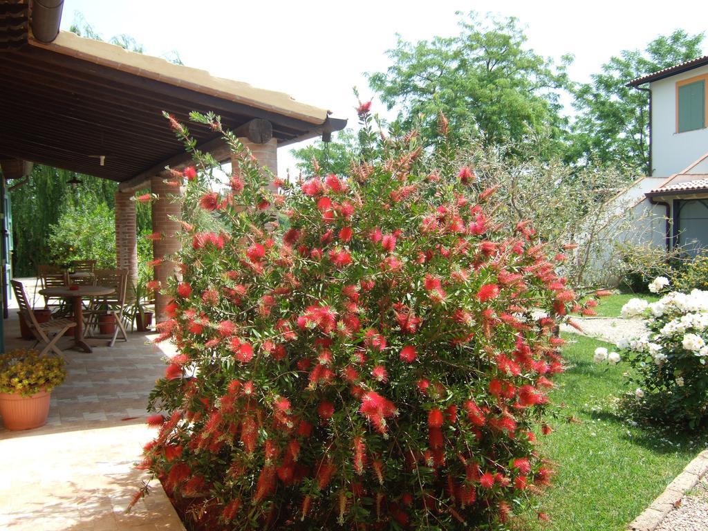 Agriturismo Quartopodere Villa Magliano in Toscana Exteriör bild